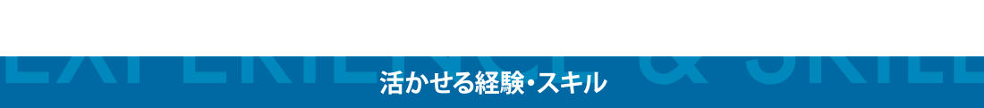 活かせる経験・スキル